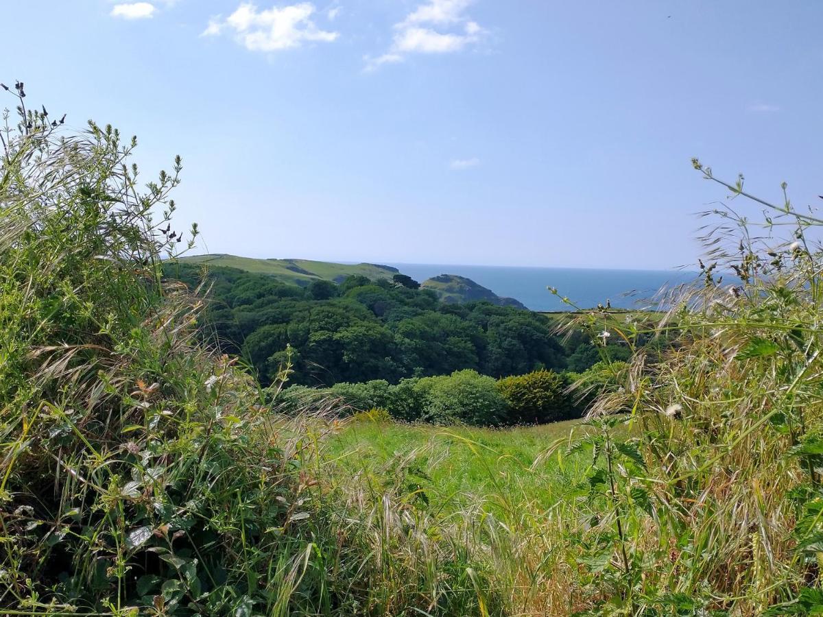 The Mill * Tintagel